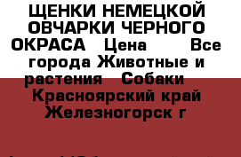 ЩЕНКИ НЕМЕЦКОЙ ОВЧАРКИ ЧЕРНОГО ОКРАСА › Цена ­ 1 - Все города Животные и растения » Собаки   . Красноярский край,Железногорск г.